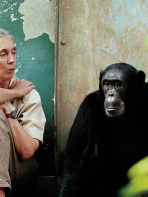 “L’eredità di Jane Goodall. Ricerca sul campo, etologia e impegno per la natura”, 30 gennaio&nbsp;2026